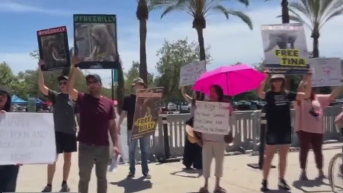 LA Zoo being sued over plans to move elephants to Tulsa Zoo